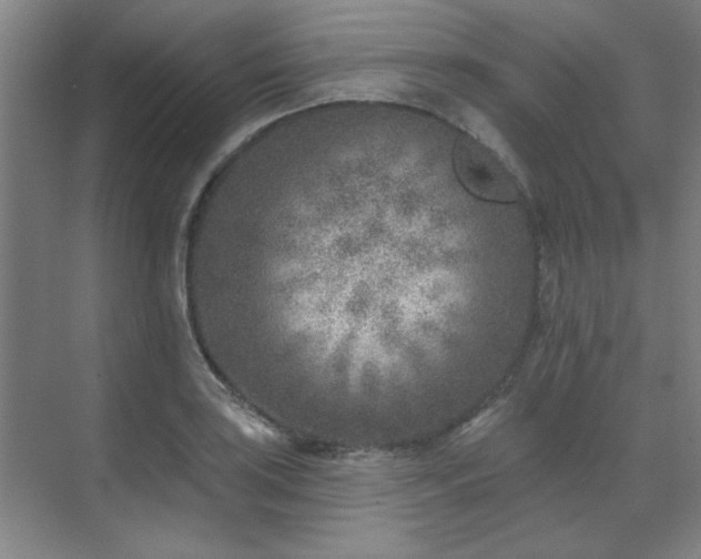 X0000071801035200606301156