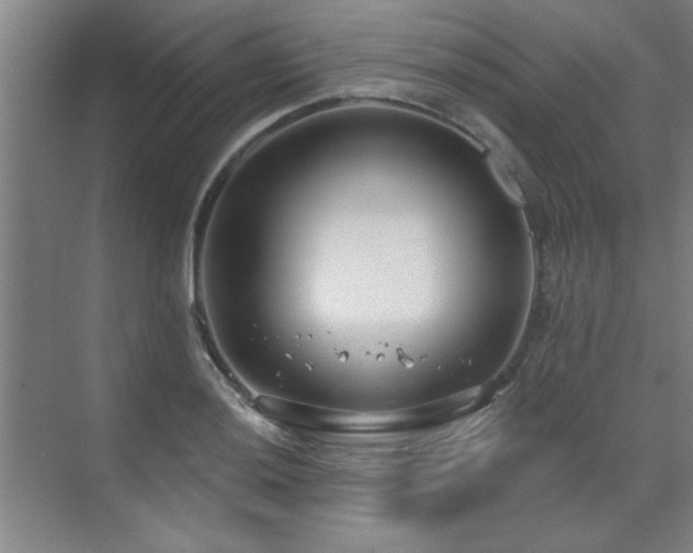 X0000071801036200606301156