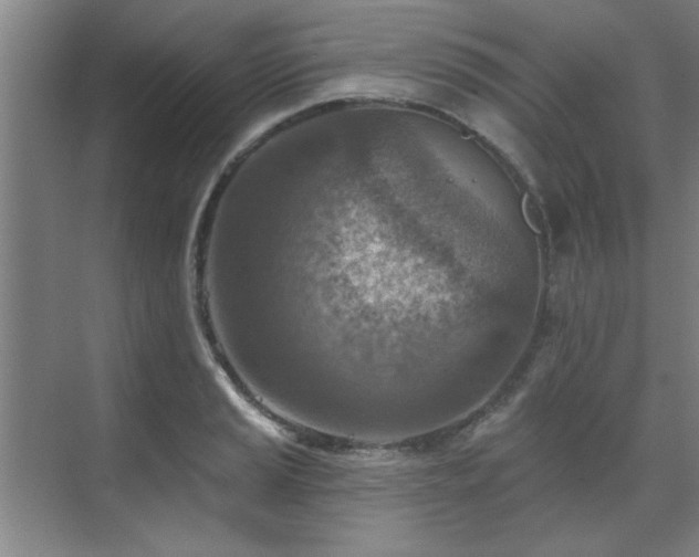 X0000071801037200606301156