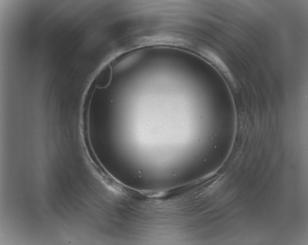 X0000071801043200606301156