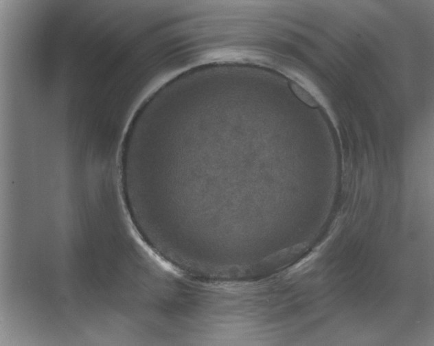 X0000071801045200606301156