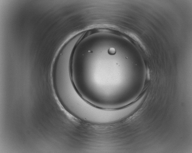 X0000071801046200606301156