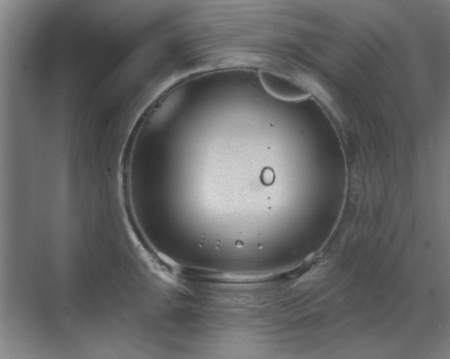 X0000071801047200606301156