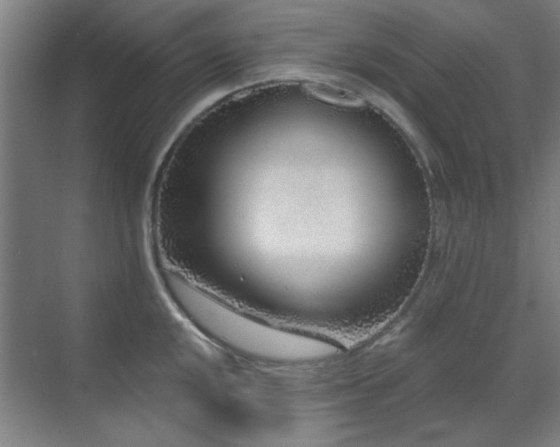 X0000071801048200606301156