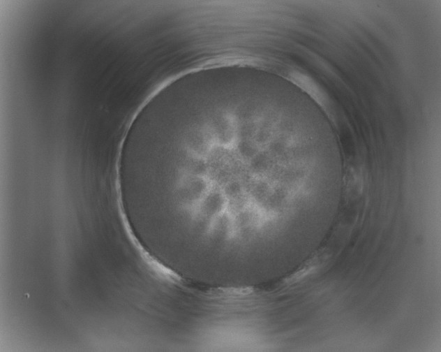 X0000071801055200606301156