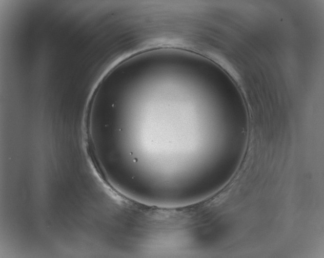 X0000071801056200606301156