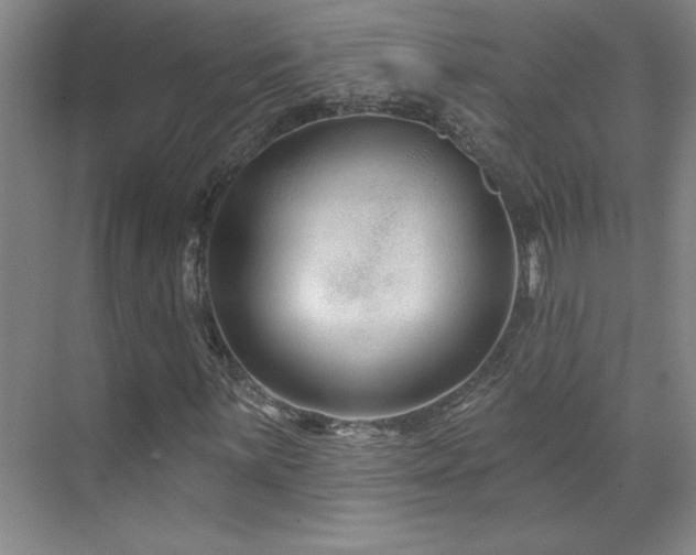 X0000071801059200606301155