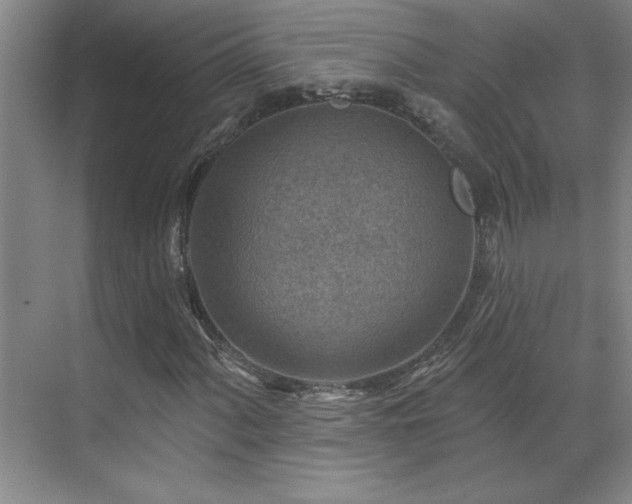 X0000071801060200606301155