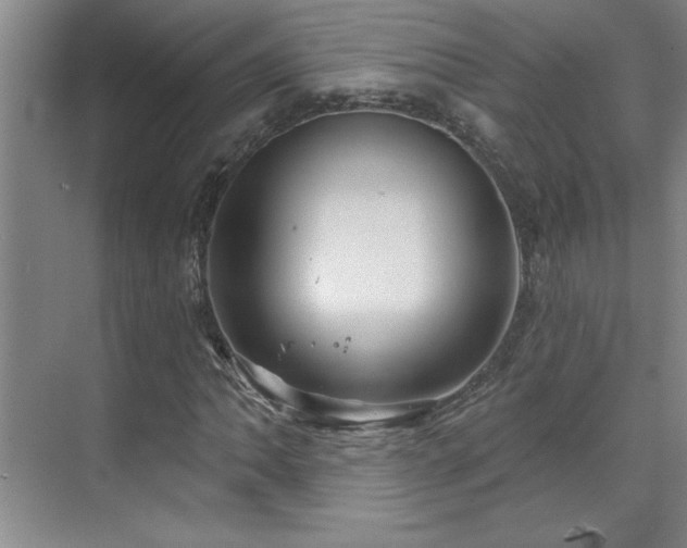 X0000071801062200606301155