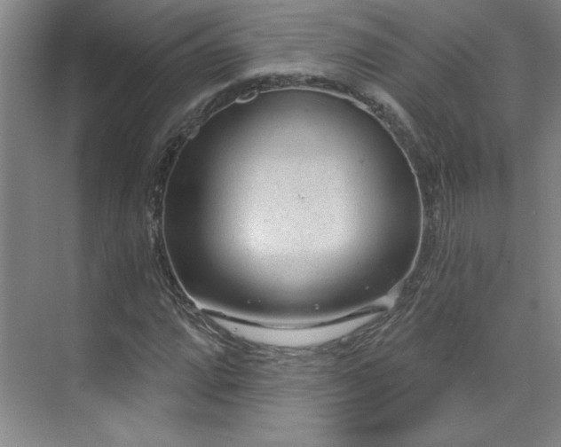 X0000071801064200606301155