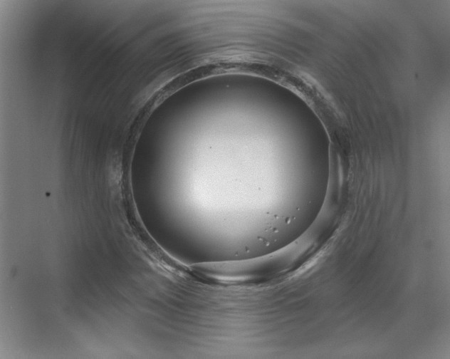 X0000071801065200606301155