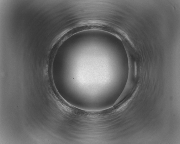 X0000071801066200606301155