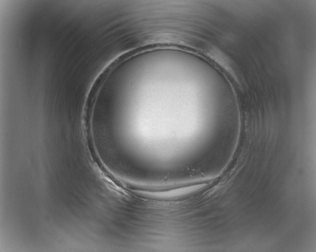 X0000071801068200606301155