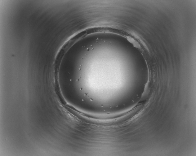 X0000071801069200606301155