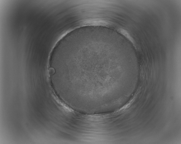 X0000071801071200606301155