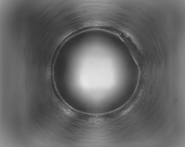 X0000071801073200606301155