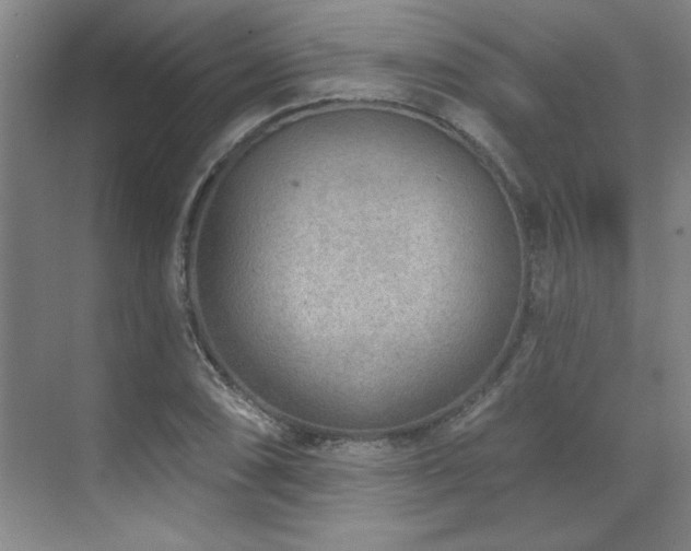 X0000071801074200606301155