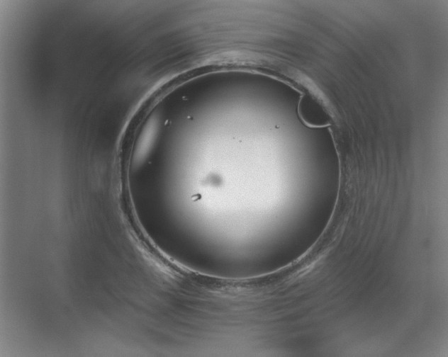 X0000071801075200606301155