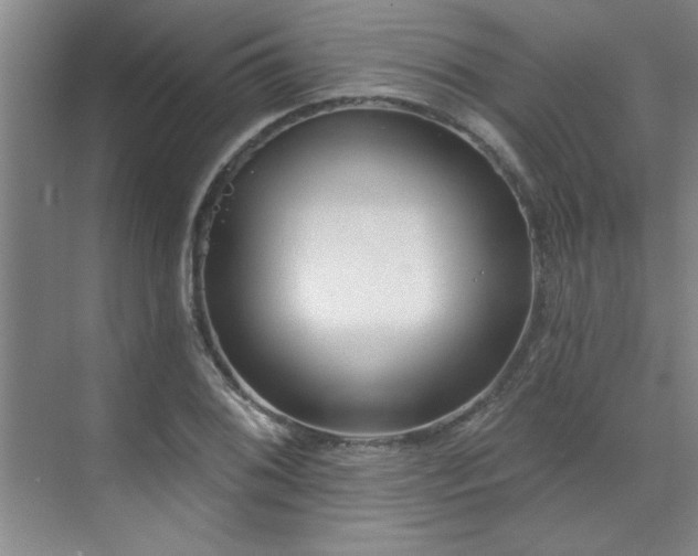 X0000071801076200606301155