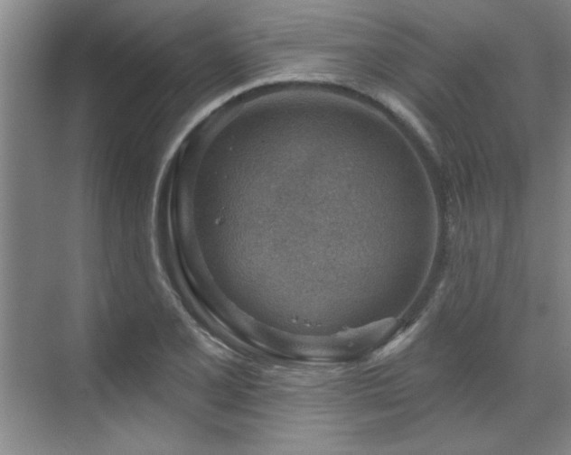 X0000071801077200606301155