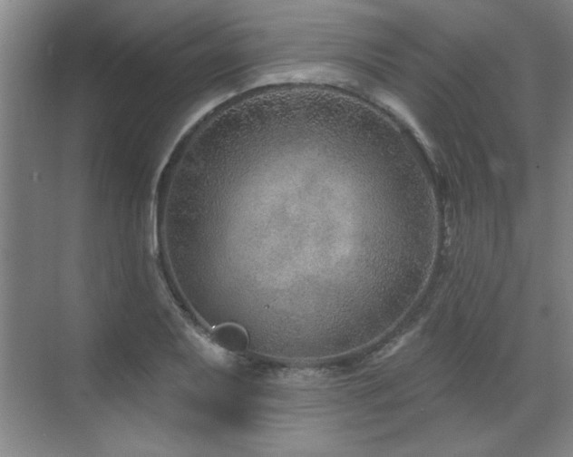 X0000071801079200606301155