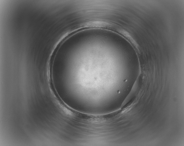 X0000071801083200606301155