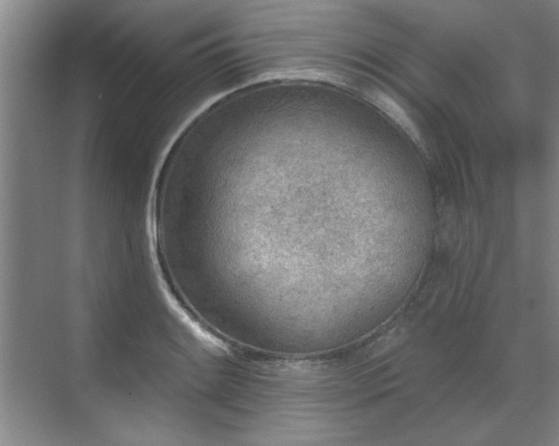 X0000071801084200606301155