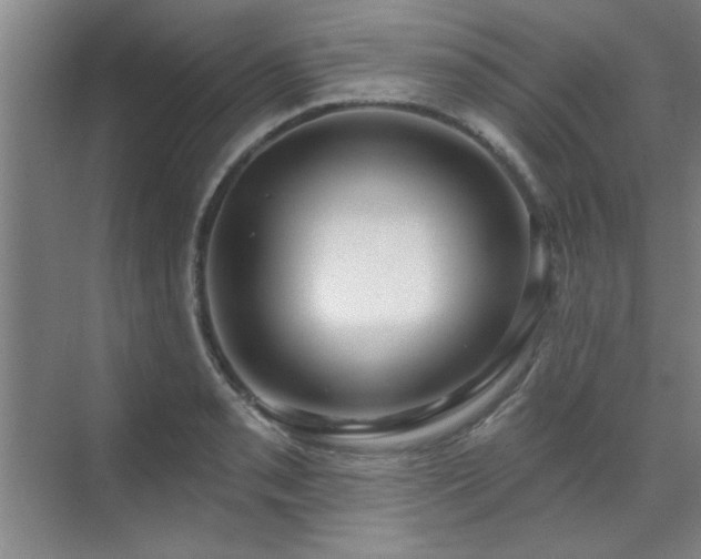 X0000071801085200606301155