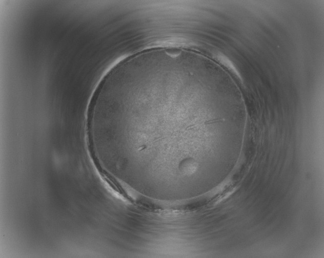 X0000071801087200606301155