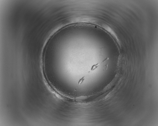 X0000071801088200606301155