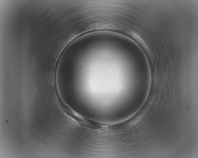 X0000071801089200606301155