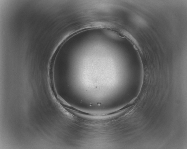 X0000071801091200606301155