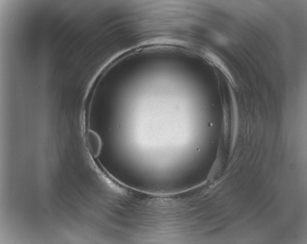 X0000071801092200606301155