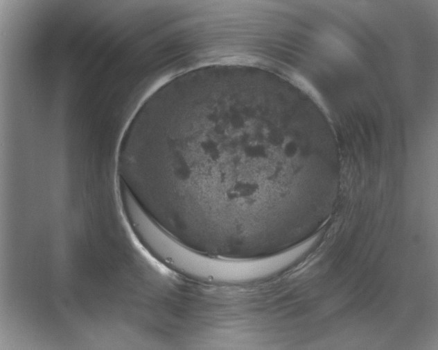 X0000071801095200606301155