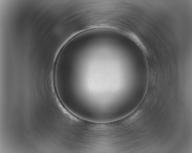 X0000071801100200606301154