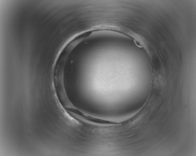 X0000071801102200606301154
