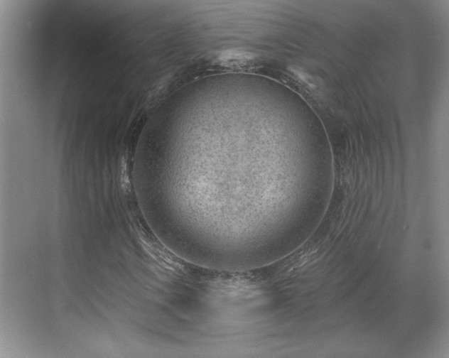 X0000071801106200606301154