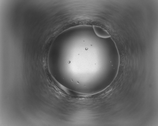 X0000071801109200606301154