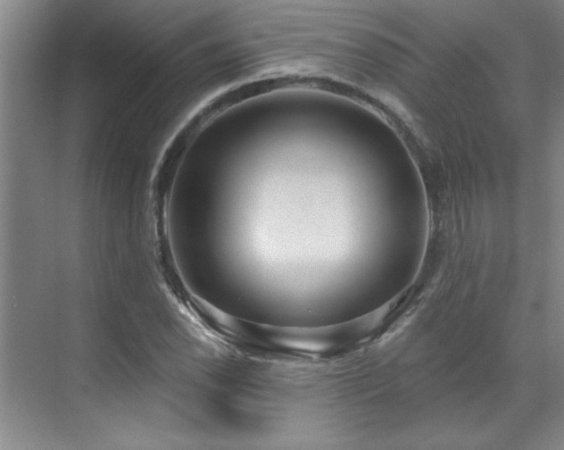 X0000071801118200606301154