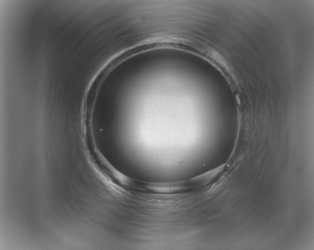 X0000071801124200606301154