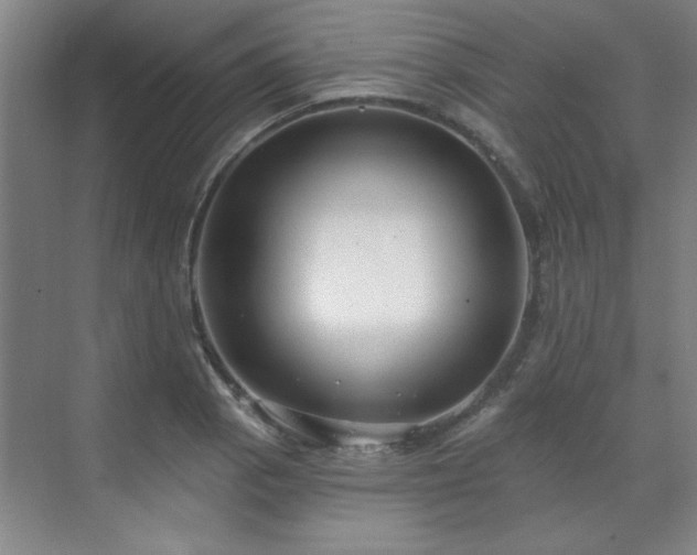 X0000071801129200606301154