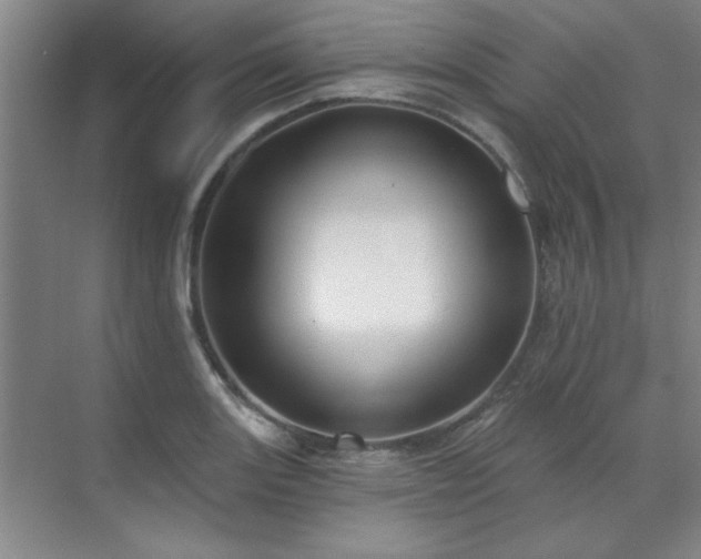 X0000071801131200606301154