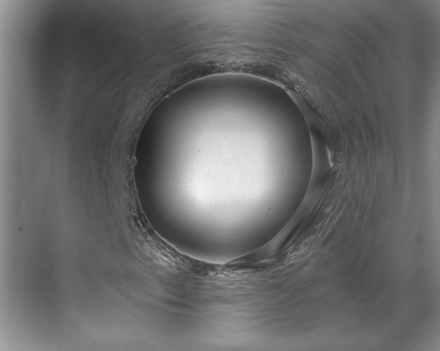 X0000071801153200606301154
