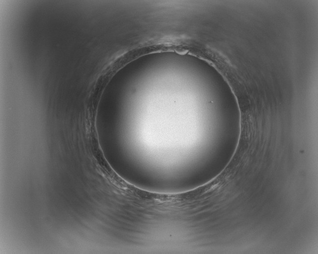 X0000071801158200606301153
