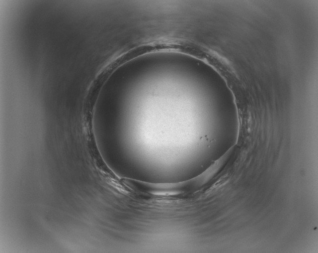 X0000071801160200606301153