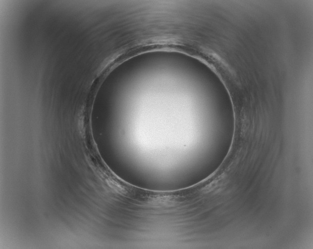 X0000071801162200606301153
