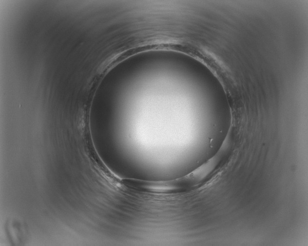 X0000071801169200606301153
