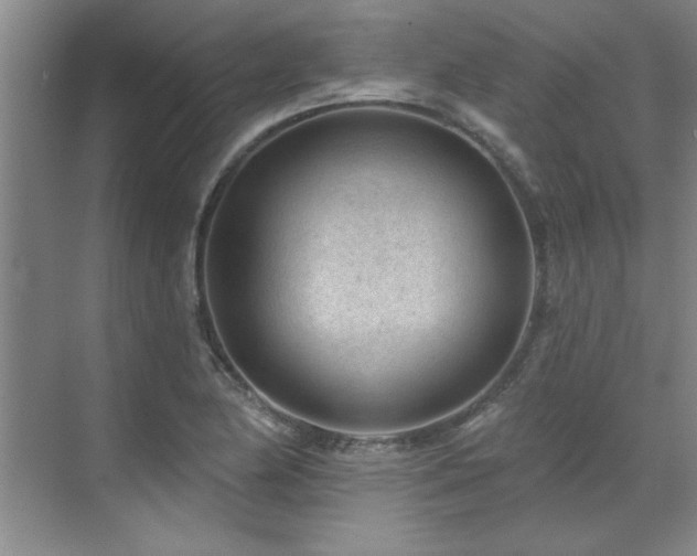 X0000071801174200606301153
