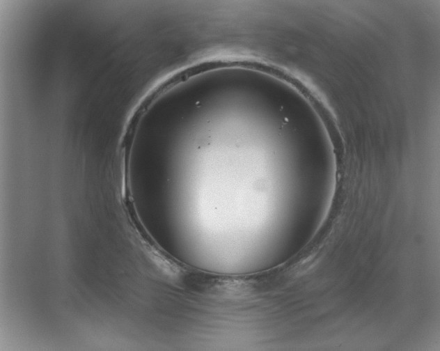 X0000071801175200606301153