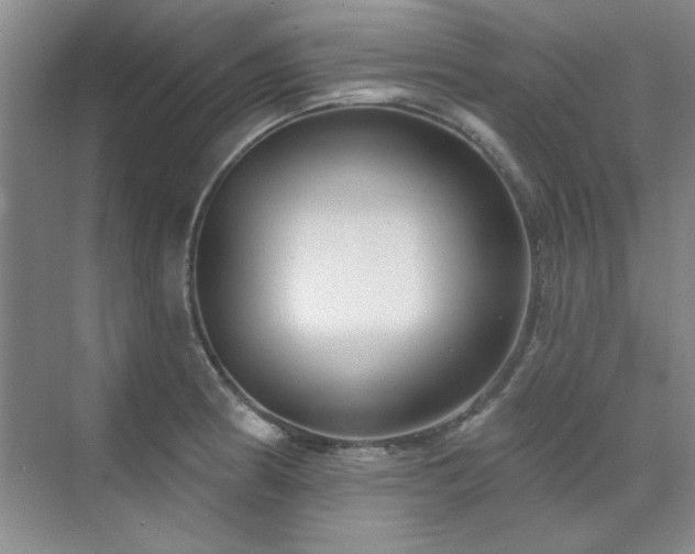X0000071801186200606301153